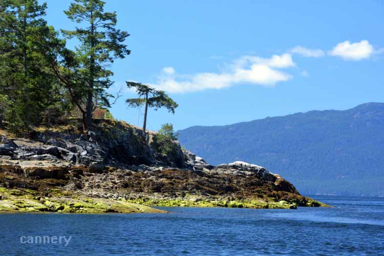 rocky shore
